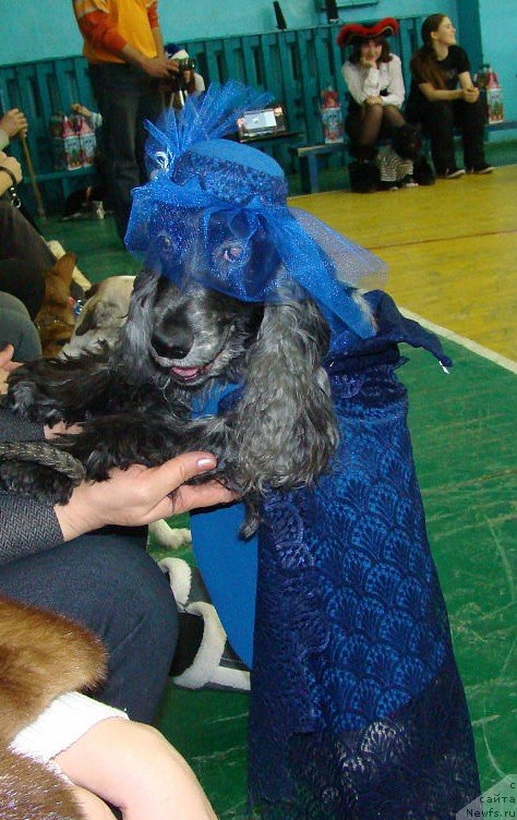 Фотография № 143069