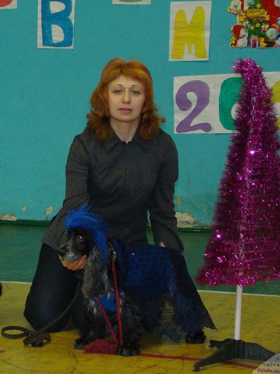 Фотография № 143070