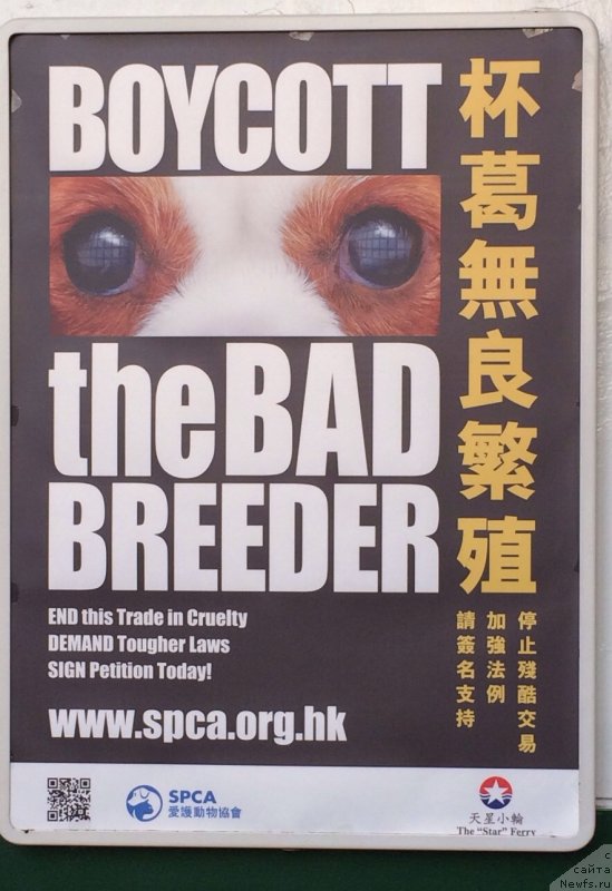 Фотография № 143072