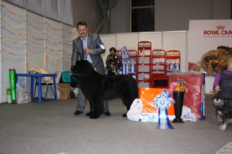 Фотография № 143093