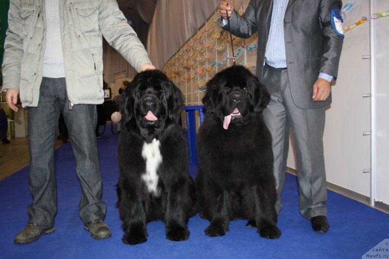 Фотография № 143094