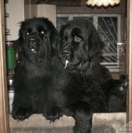 Фотография № 143101