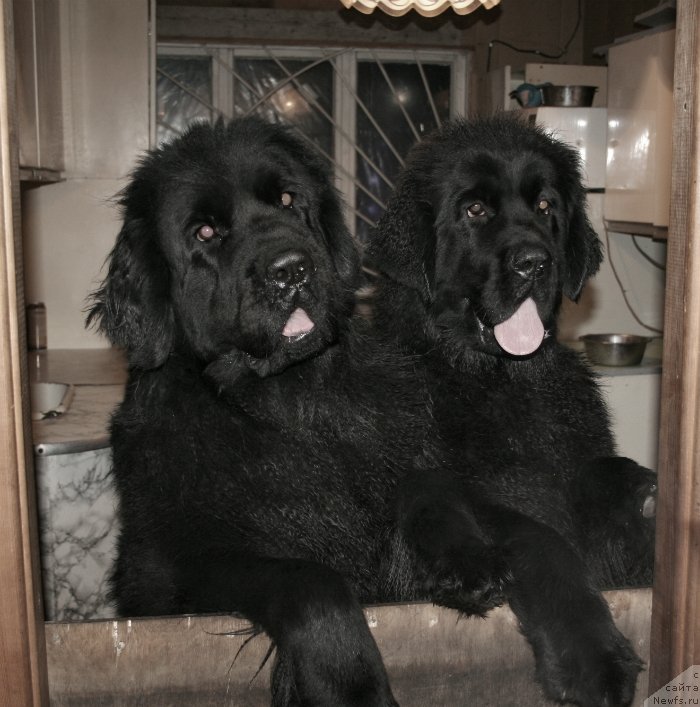 Фотография № 143102