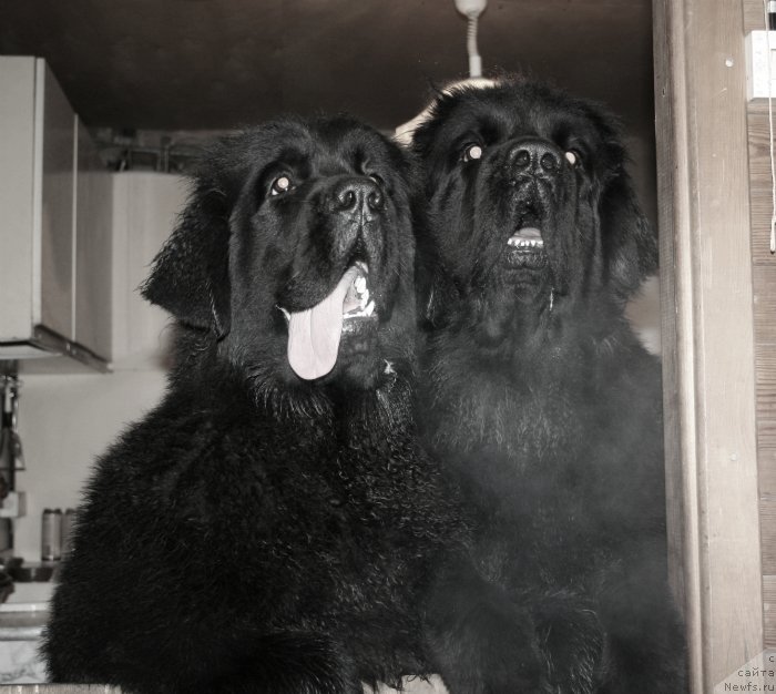 Фотография № 143103