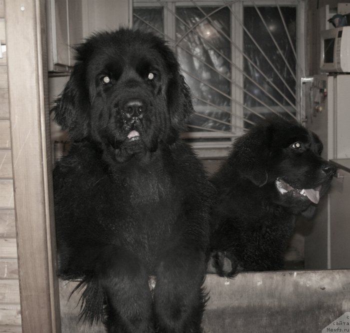 Фотография № 143104