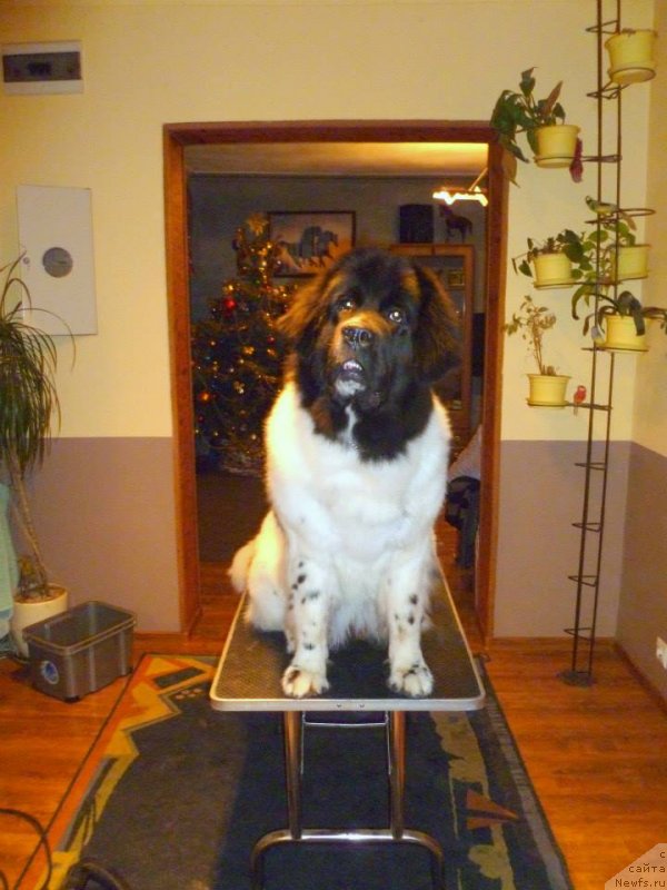 Фотография № 143114