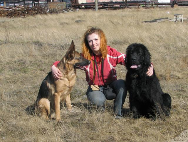 Фотография № 14319