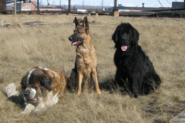 Фотография № 14320