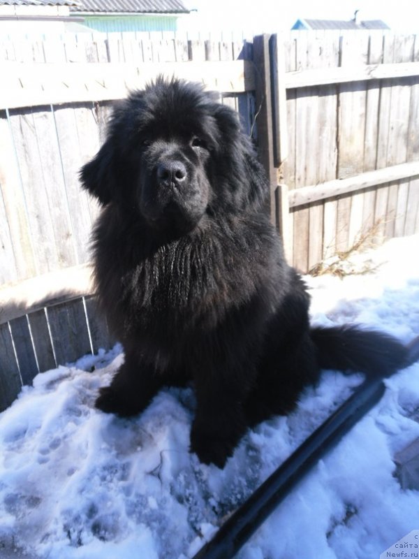 Фотография № 143204