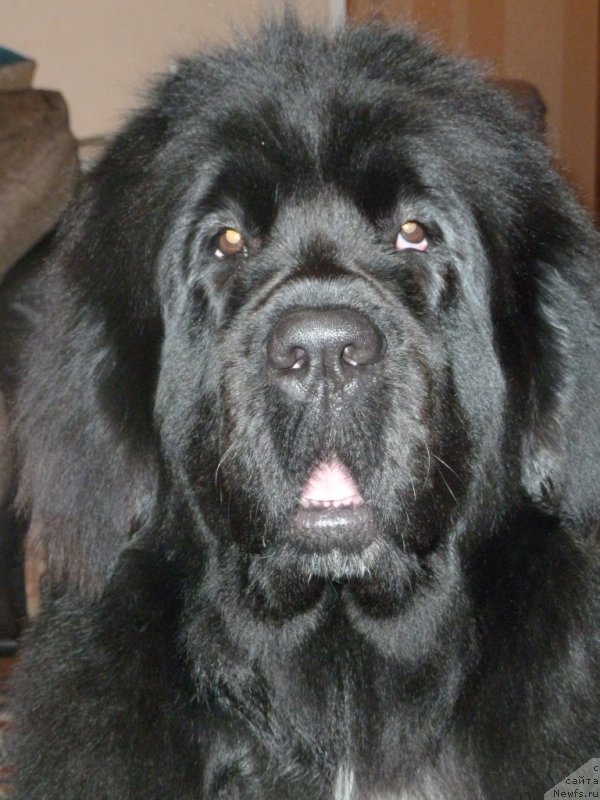 Фото: Вивьен