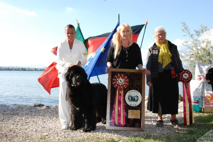 Фотография № 143216