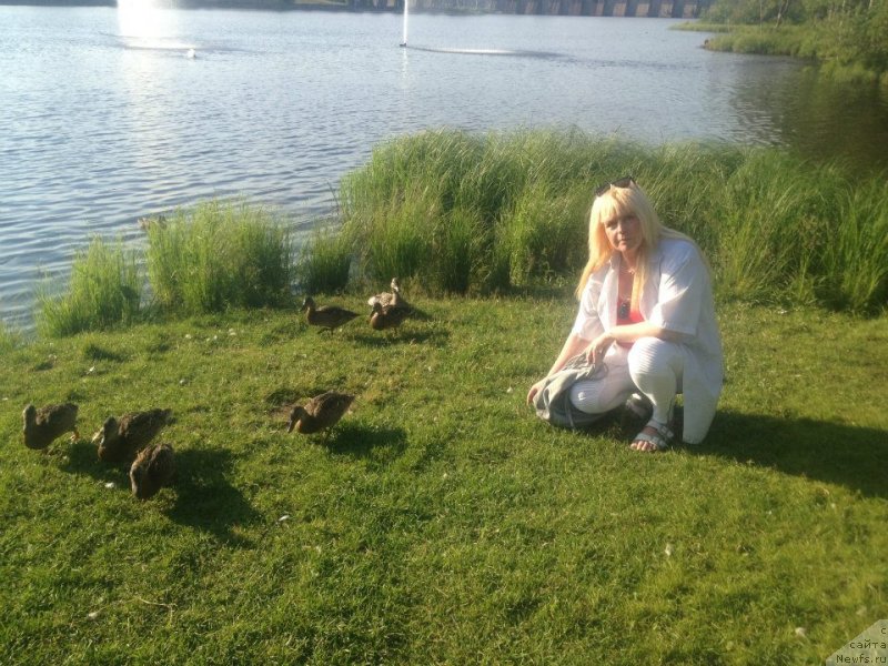 Фотография № 143217