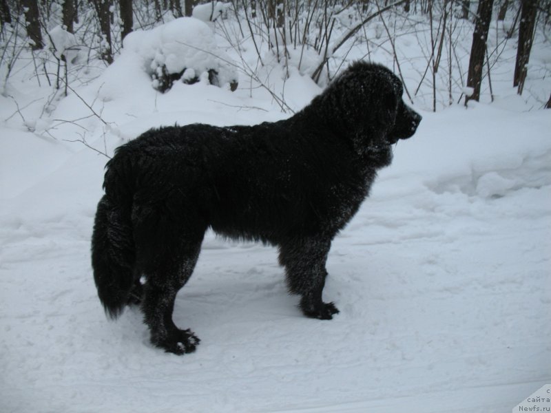 Фотография № 143233