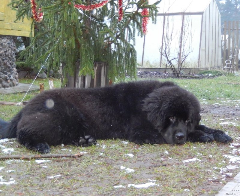 Фотография № 143258