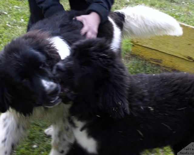 Фотография № 14326