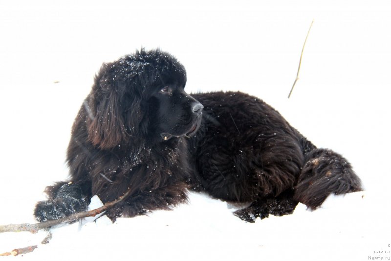 Фотография № 143288