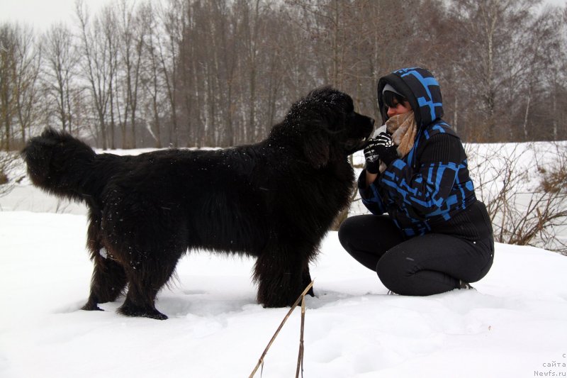 Фотография № 143289