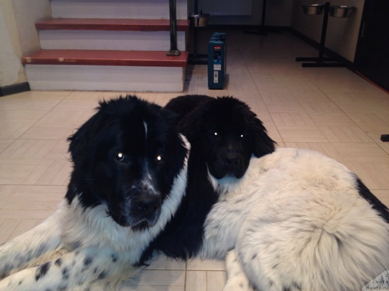 Фотография № 143290