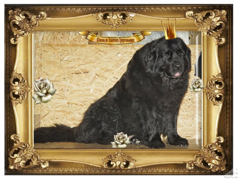 Фотография № 143297