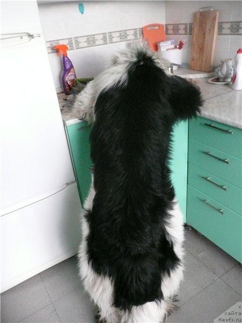 Фотография № 14331