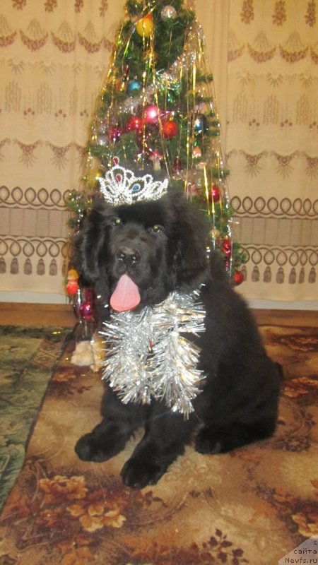 Фотография № 143314