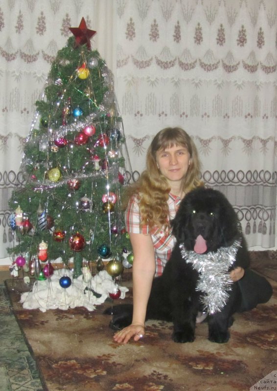 Фотография № 143317