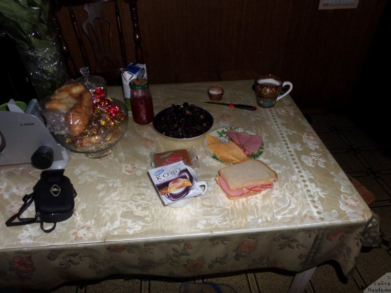 Фото: Сергей Жуков