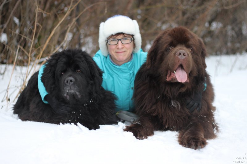 Фотография № 143339