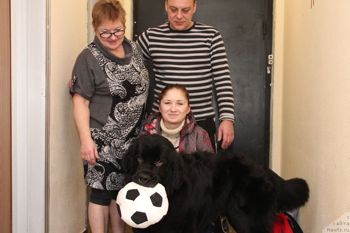 Фото: ньюфаундленд Черный Чанк с Берега Дона (Chernyj Chank s Berega Dona), Ирина Складнова, Галина Артюшина, Дима