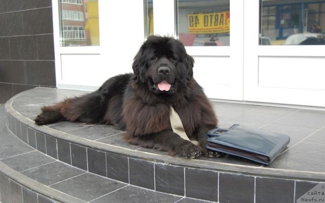 Фотография № 14339