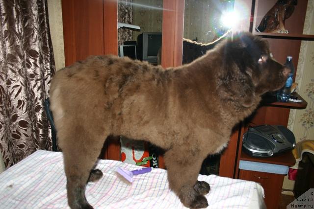 Фотография № 14341