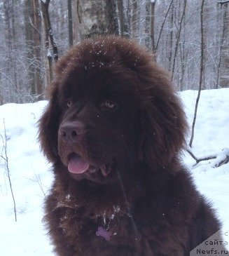 Фотография № 143410