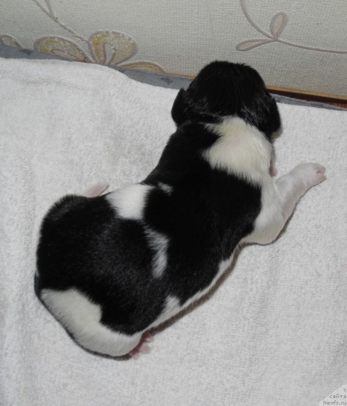 Фотография № 143414