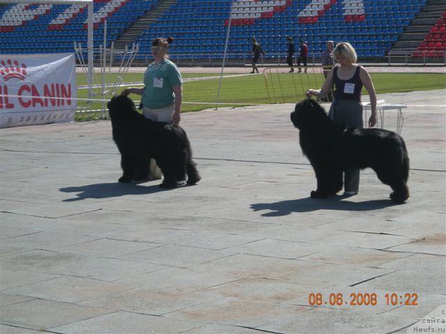 Фотография № 14348