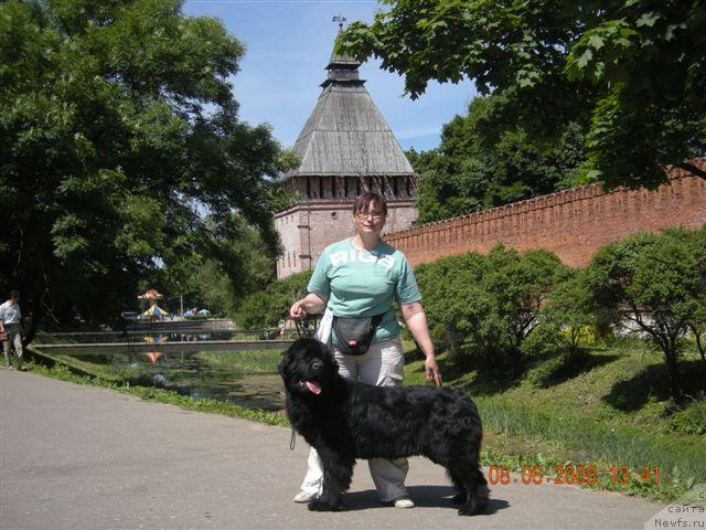 Фото: ньюфаундленд Плюшевая Панда Анабелла Бьютифул (Plushevaya Panda Anabella Beautiful)