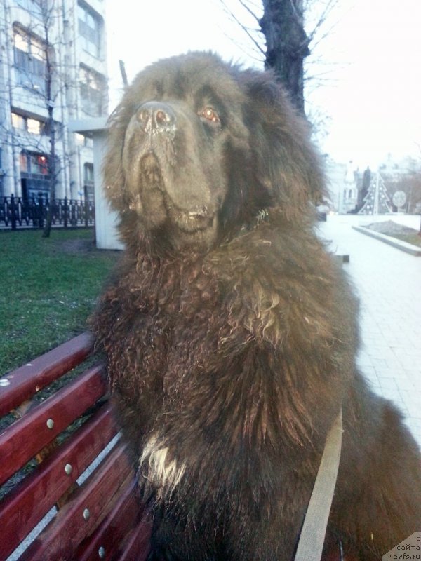 Фотография № 143546