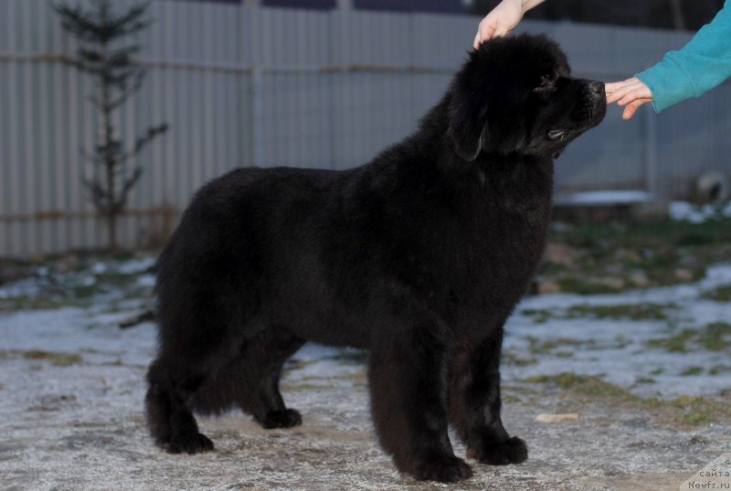 Фотография № 143562