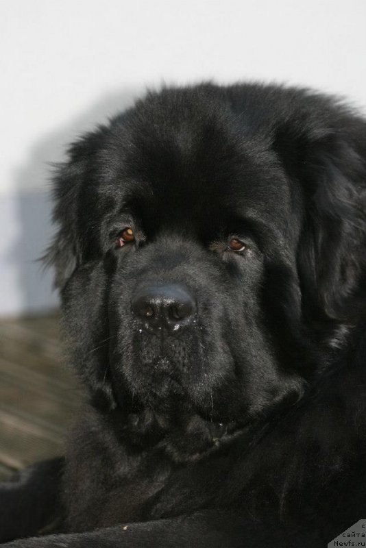 Фотография № 143566