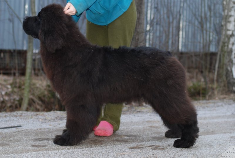 Фотография № 143567