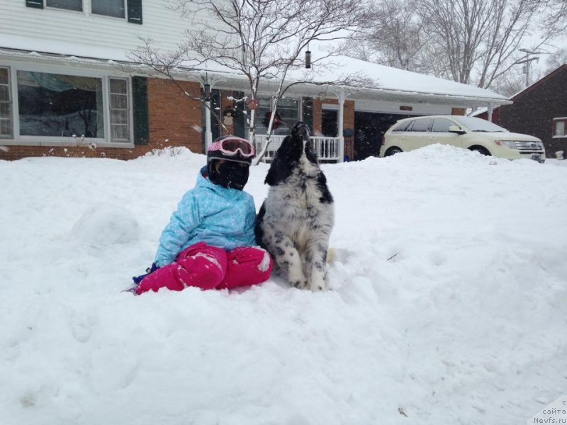 Фотография № 143569