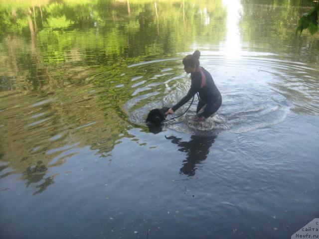 Фотография № 14357