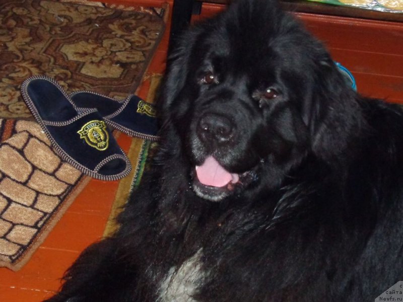 Фотография № 143570