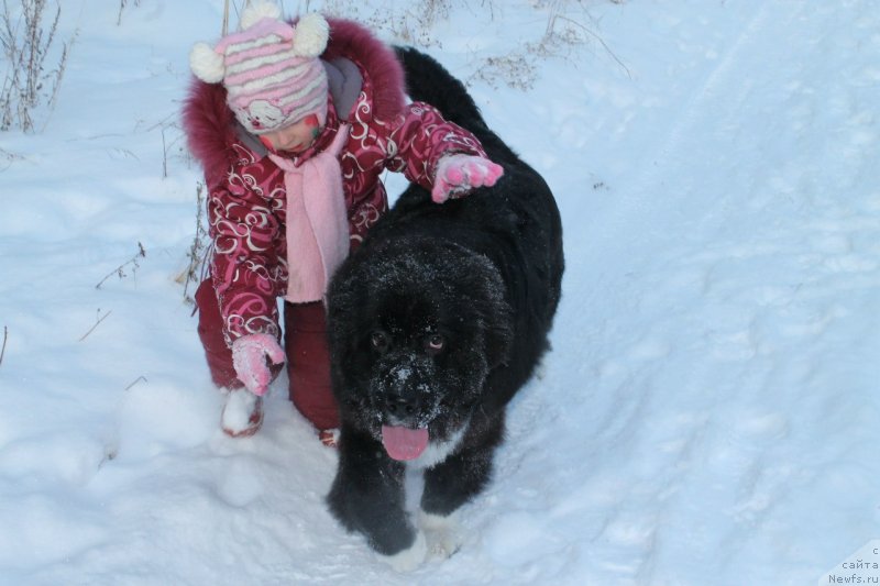 Фотография № 143571