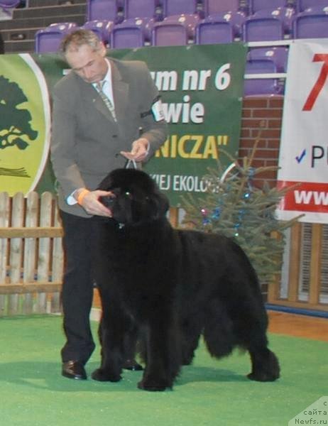 Фотография № 143573