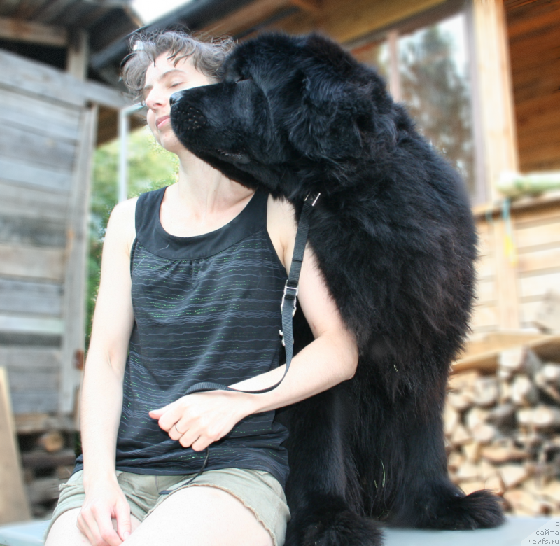 Фотография № 143576