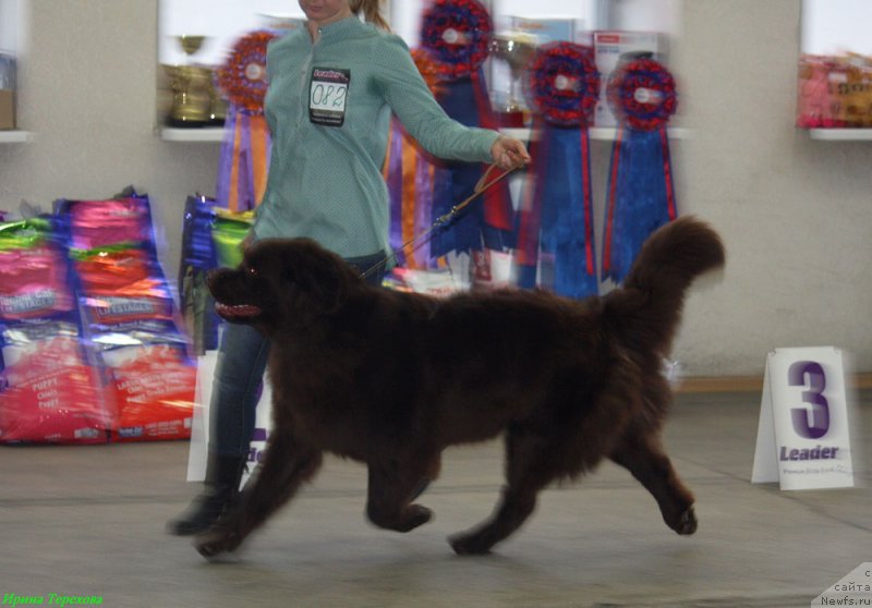 Фотография № 143677