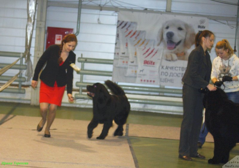 Фотография № 143680