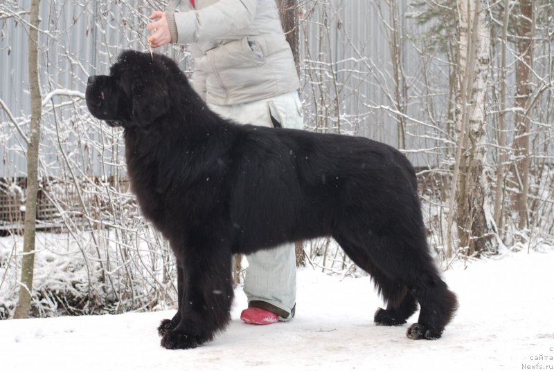 Фотография № 143694