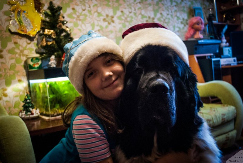 Фотография № 143699