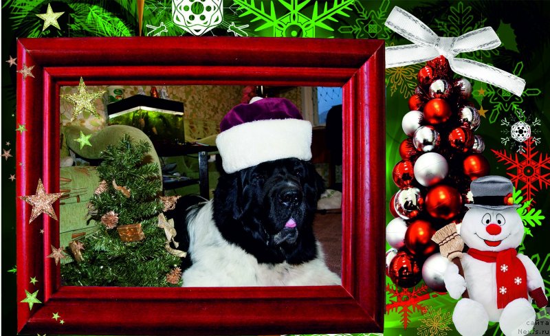 Фотография № 143701